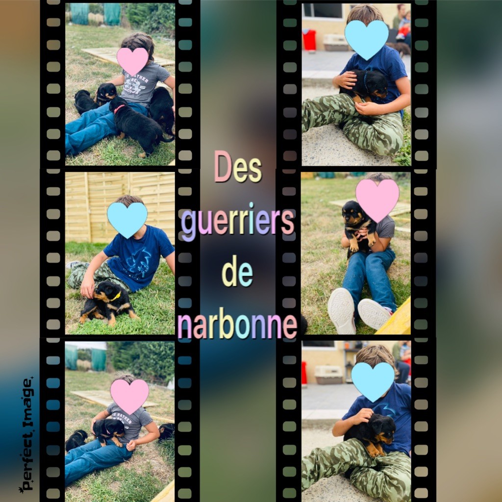 Des Guerriers De Narbonne - La sociabilisation