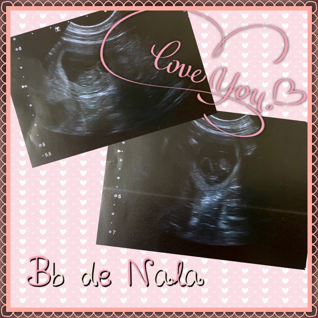 Des Guerriers De Narbonne - Confirmation de gestation