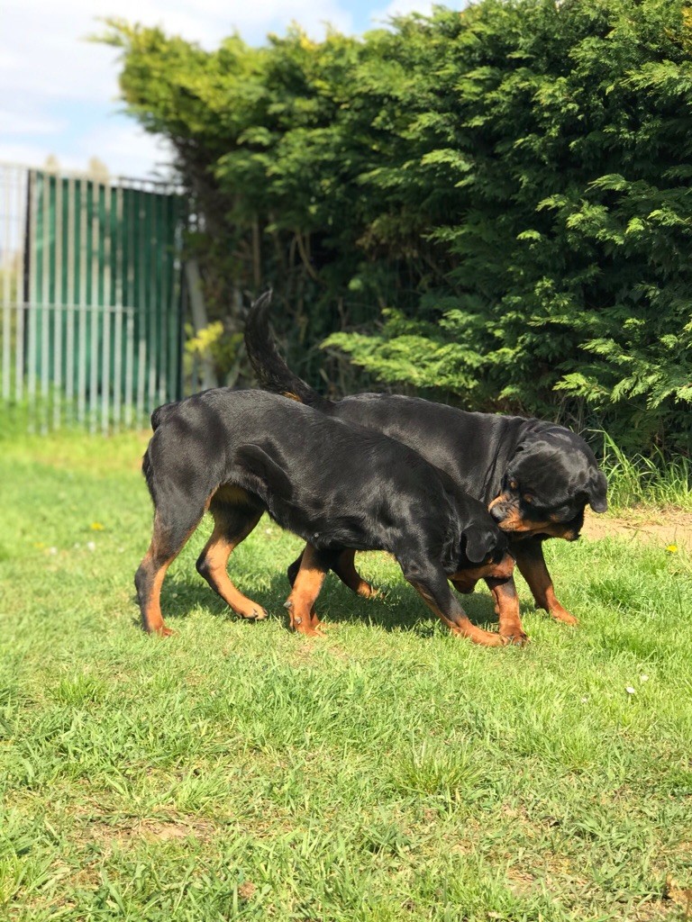 Maska et Niña 
