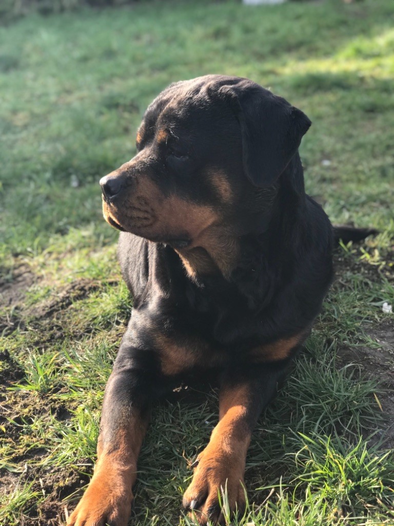 Maska des rotts de la baronnie